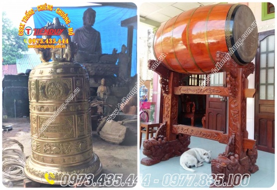 BÁN TRỐNG CHUÔNG TẠI LONG AN