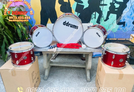 BÁN TRỐNG ĐỘI DDRUMS