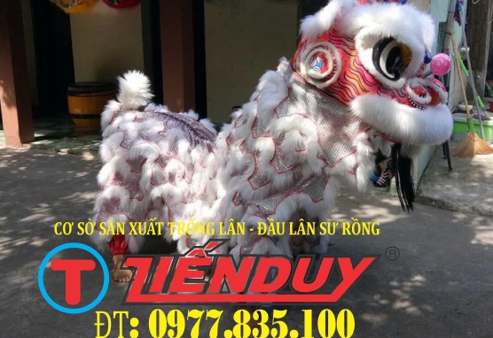 ĐẦU LÂN MÚA SƯ RỒNG